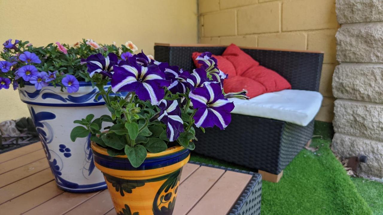 Sleeping Sarria Hotel Luaran gambar